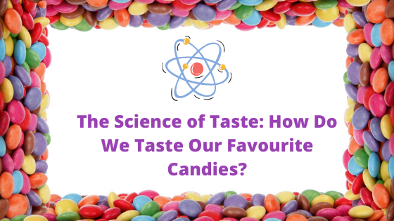 The Science of Taste: How Do We Taste Our Favourite Candies?