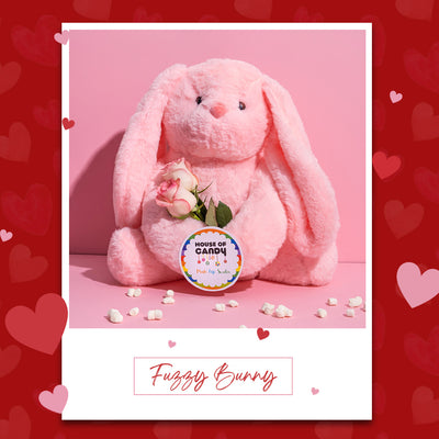 Stuffed Fuzzy Bunny