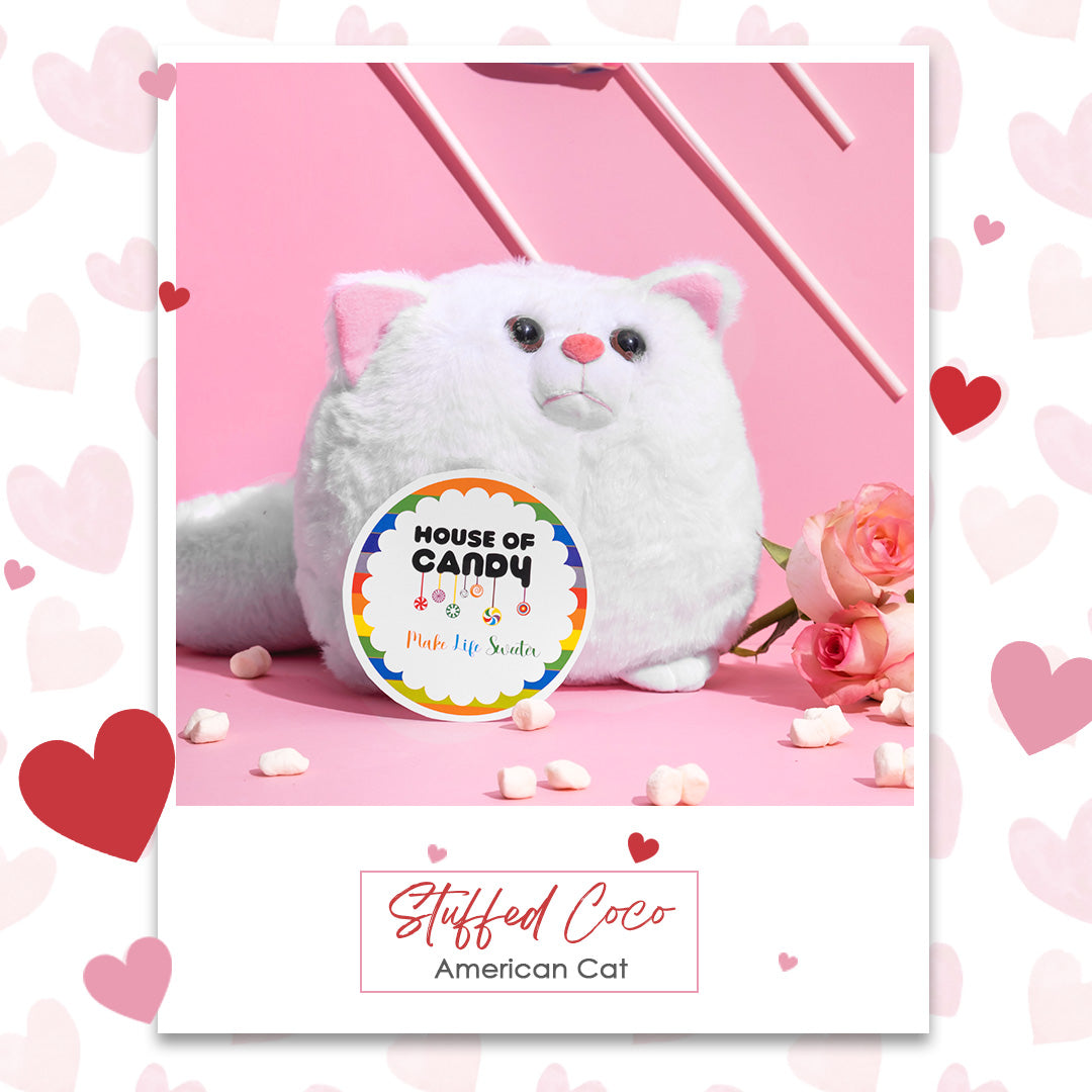 Stuffed Coco American Cat