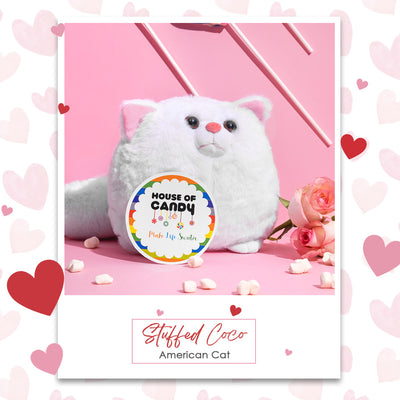 Stuffed Coco American Cat