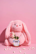 Stuffed Fuzzy Bunny