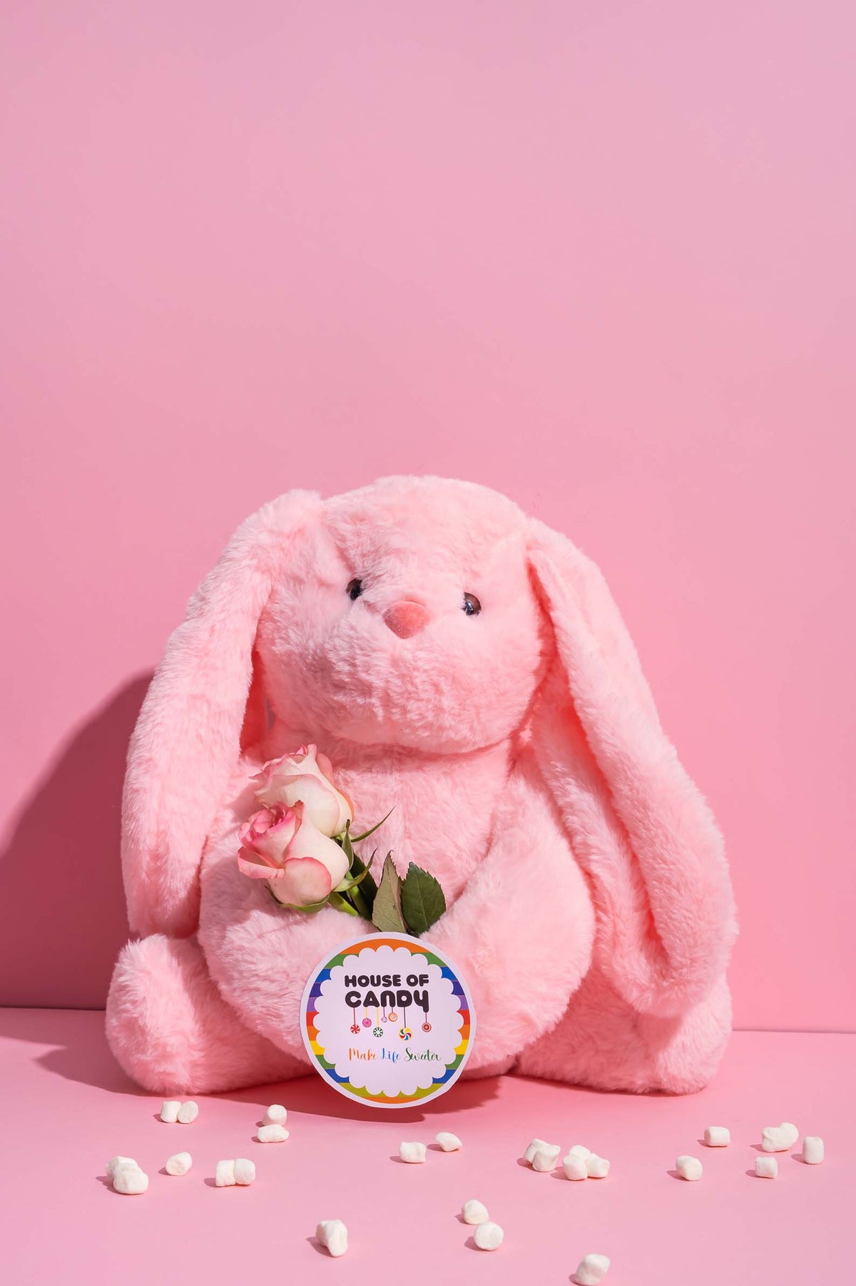 Stuffed Fuzzy Bunny